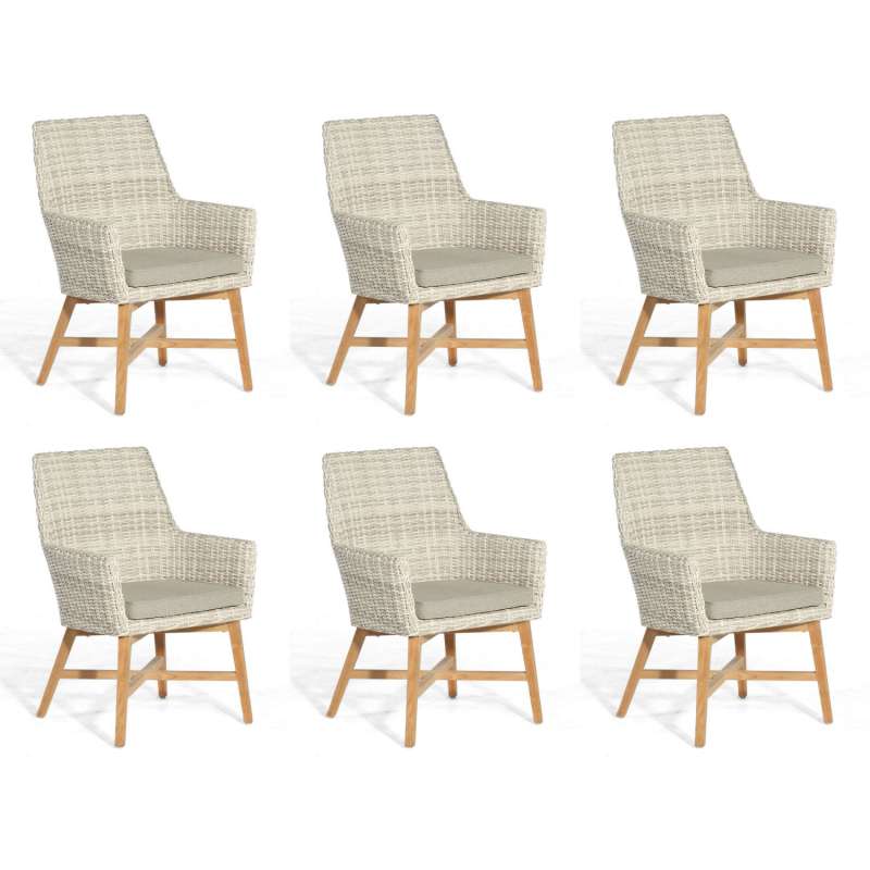 Sonnenpartner 6x Garten-Sessel Helios Teakholz/Polyrattan white-coral Gartenstuhl
