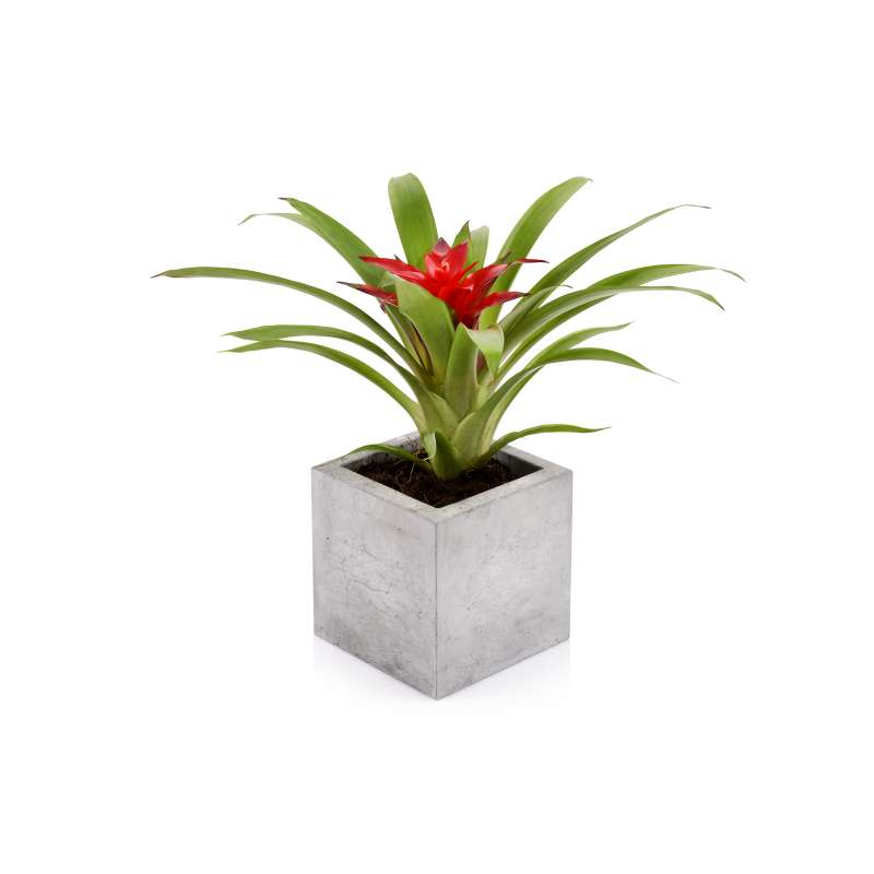 Beske-Manufaktur Beton Blumentopf Kubik S 13x13x13cm Pflanztopf Blumenkübel Pflanzgefäß