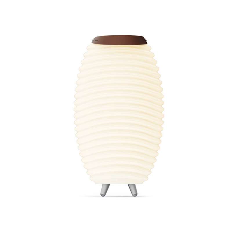 KOODUU Synergy 35 (Modell 2024) Tragbarer LED Bluetooth Lautsprecher mit Getränkekühler